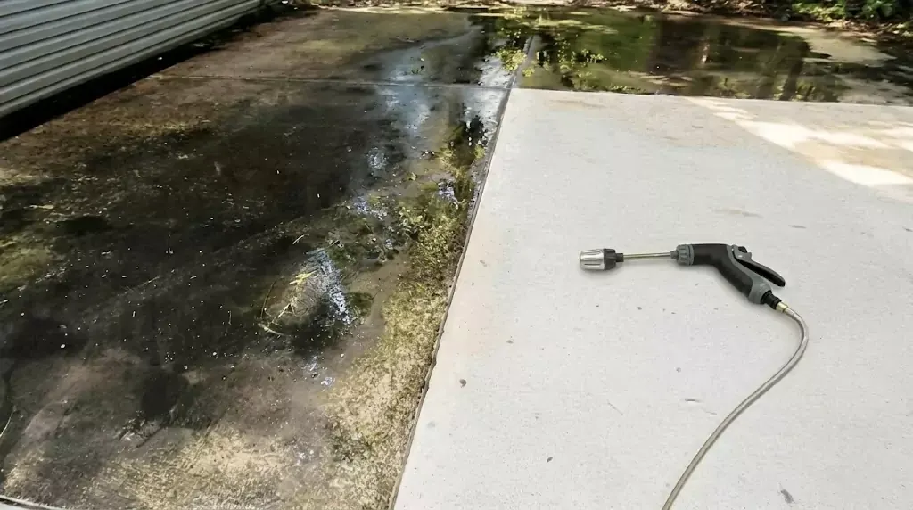 Power Blast Plus test on a narrow concrete strip with years of algae buildup — clear cleaned line through the dirty area